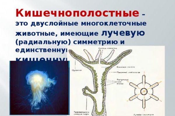 Зеркала кракен kraken014 com kraken014 com