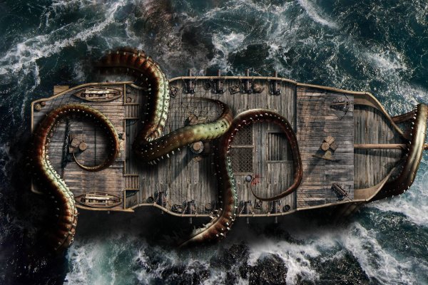 Kraken url