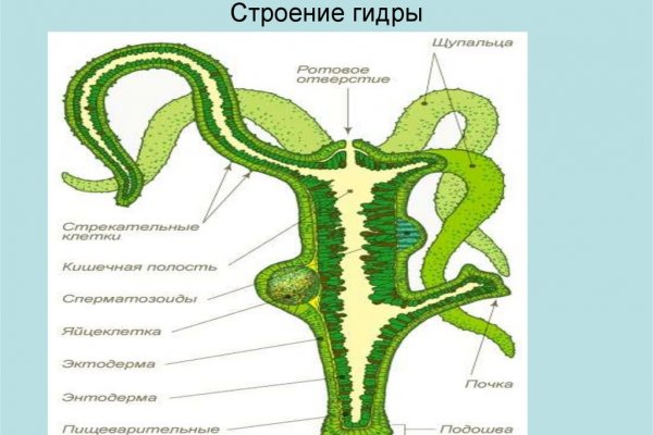 Кракен онион сайт io