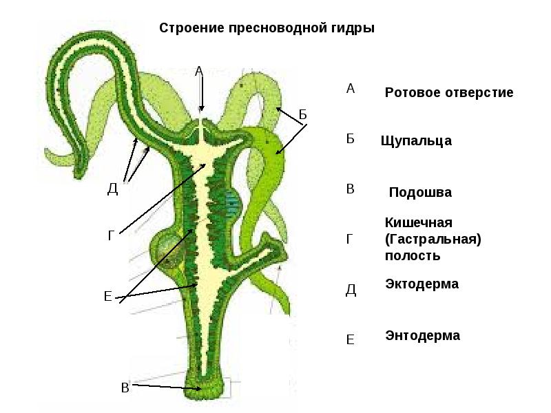 Кракен сайт 1kraken me